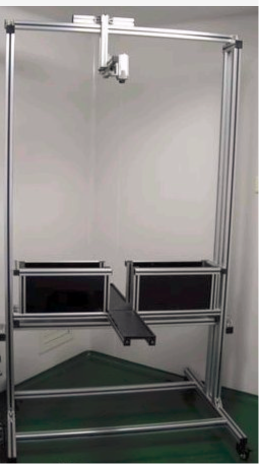 大小鼠高架十字迷宫