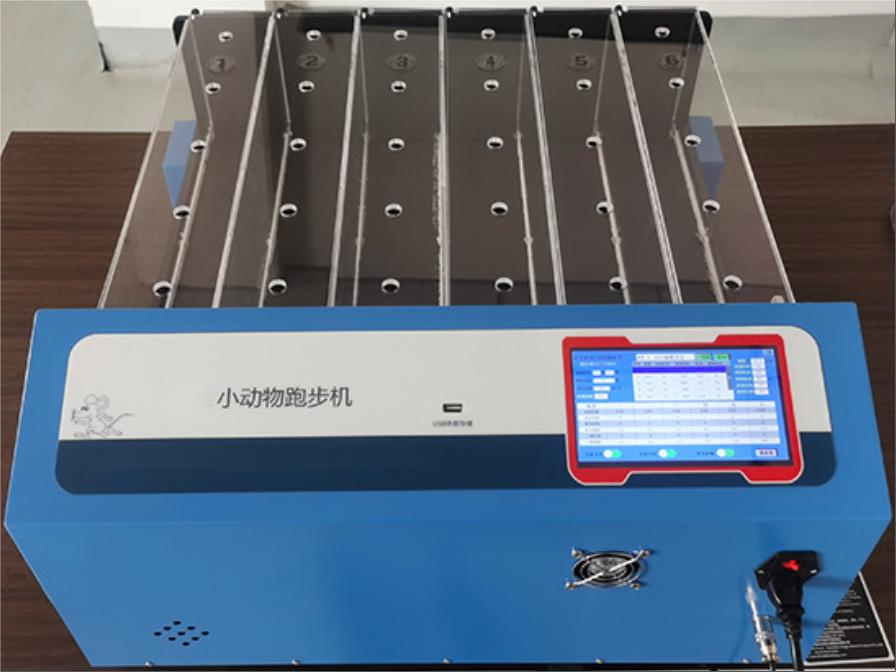 大小鼠跑步机
