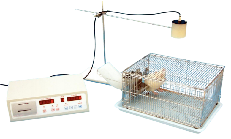 大小鼠活动记录仪