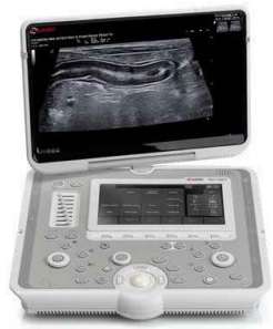 大小鼠便携超声成像仪