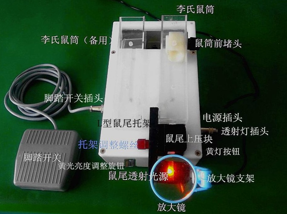 小鼠可视尾注固定器